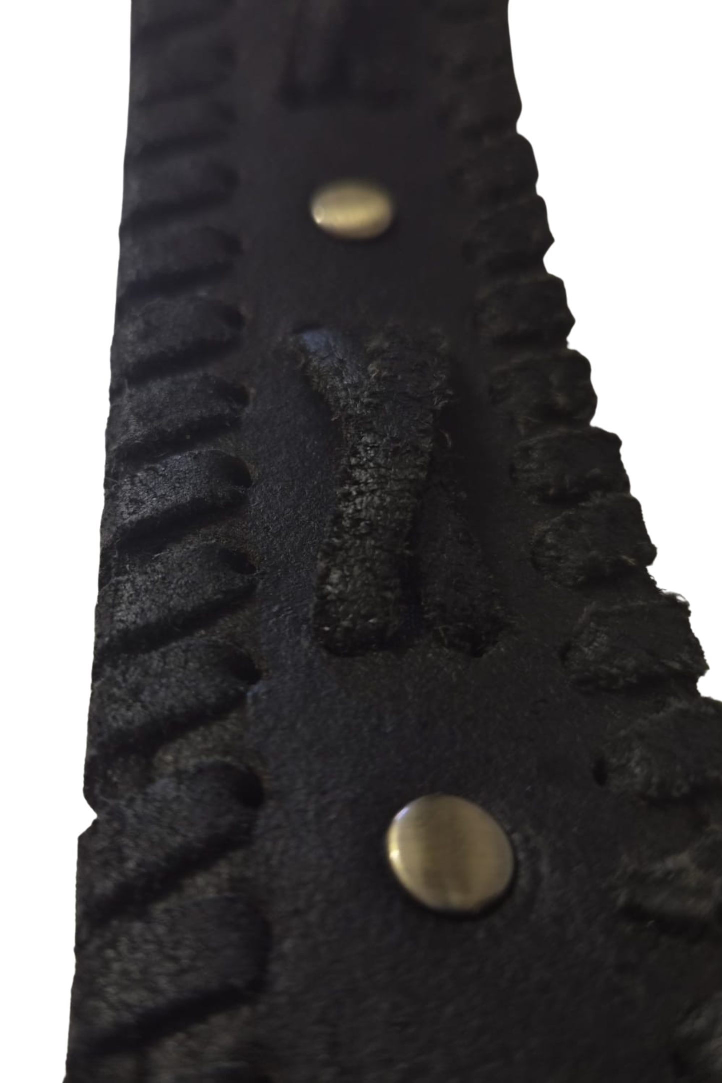 Charlotte Belt